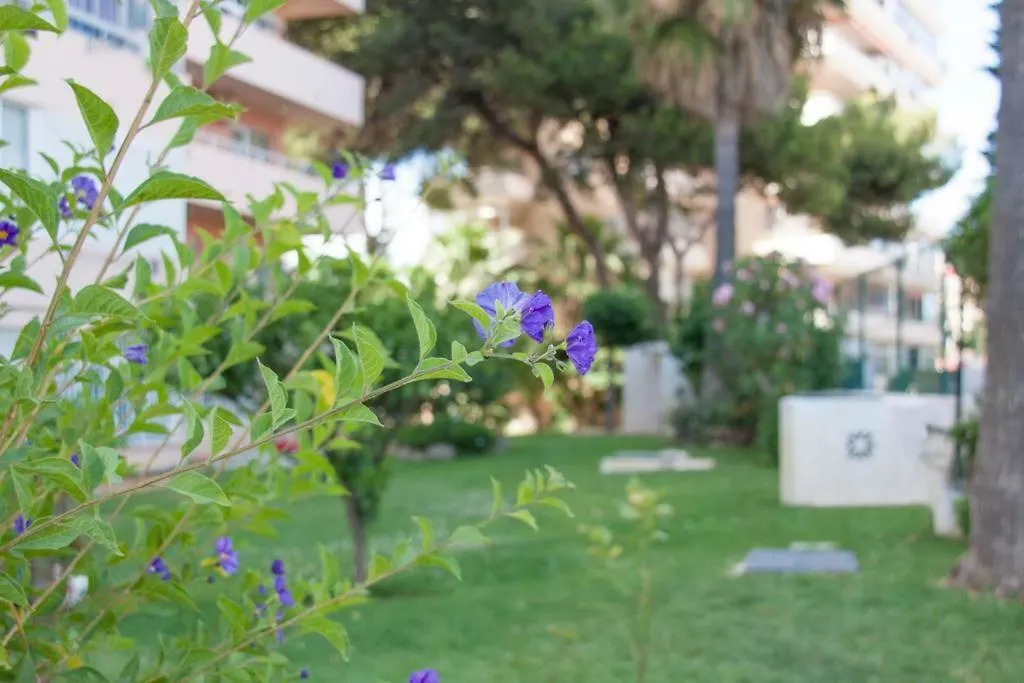 Apartamento Mar Y Sol En Benalmadena Apartment
